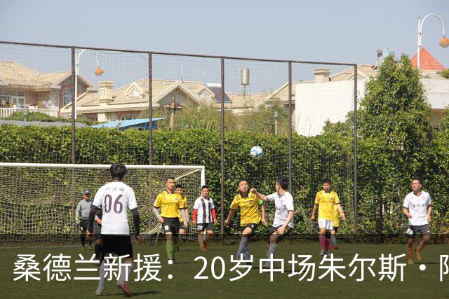 桑德兰新援：20岁中场朱尔斯·阿霍卡加盟，穿29号球衣